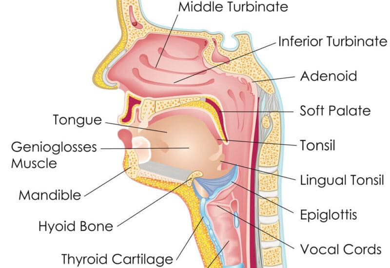 Role of Lasers in ENT: Transforming Treatments with Precision and Care